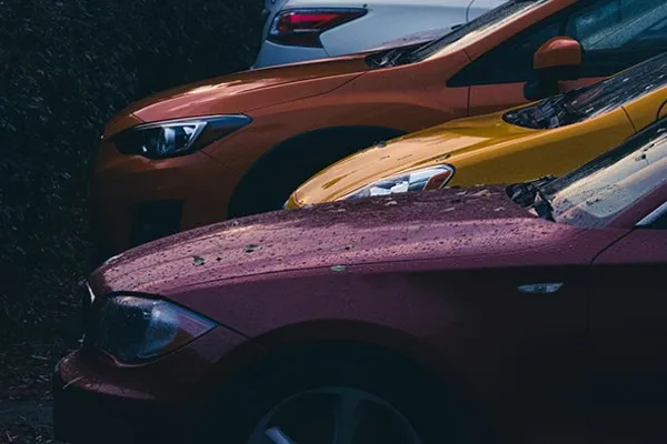 color paint protection film color paint protection film